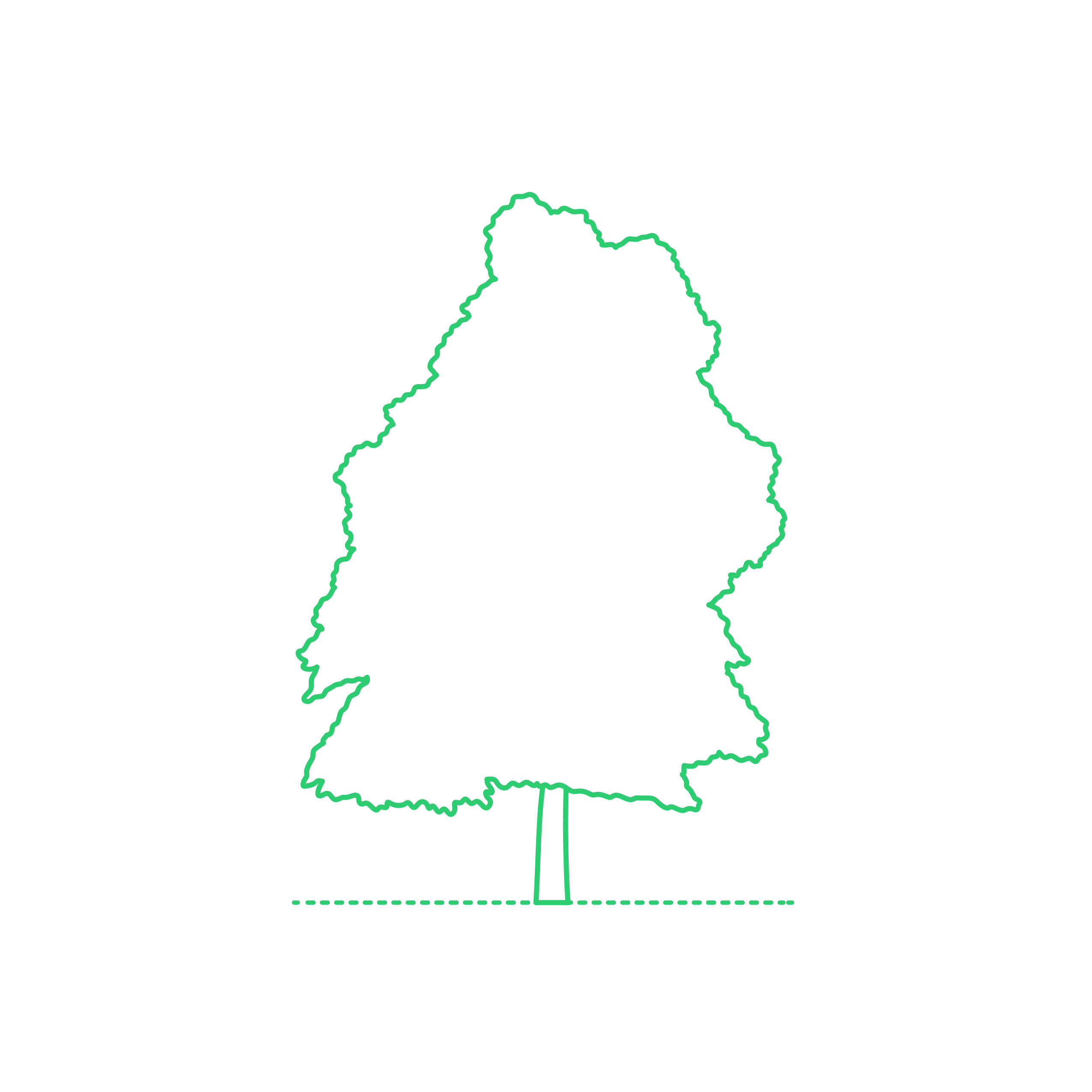 Plants Deciduous Trees Sassafras Tree Editable Svg Line Art Free Vectors